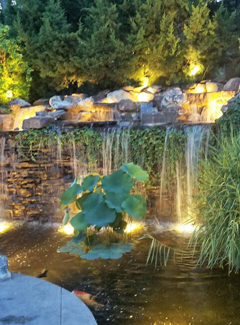 Water features and fountain maintenance